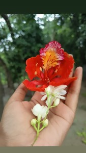 Lata Sarkar
